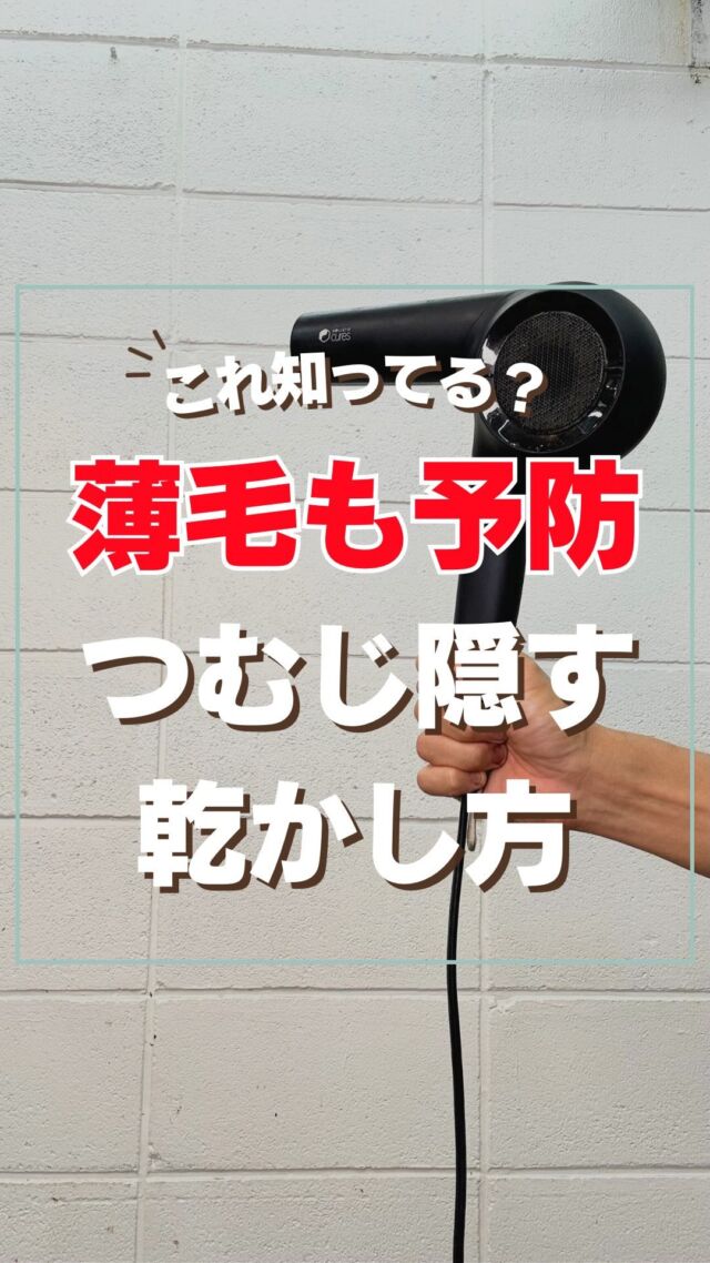 最安値？【DHPLT01】と【PPT02】をセール価格で販売開始しました♪｜白髪世代のための美容室 サロンドゥクープ